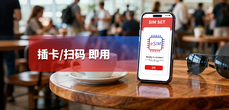 AI eSIM 支援指定 IP