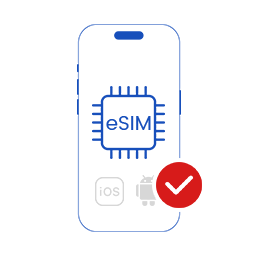 确认手机支持 eSIM