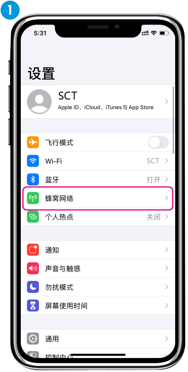 iPhone 设置页选择蜂窝数据